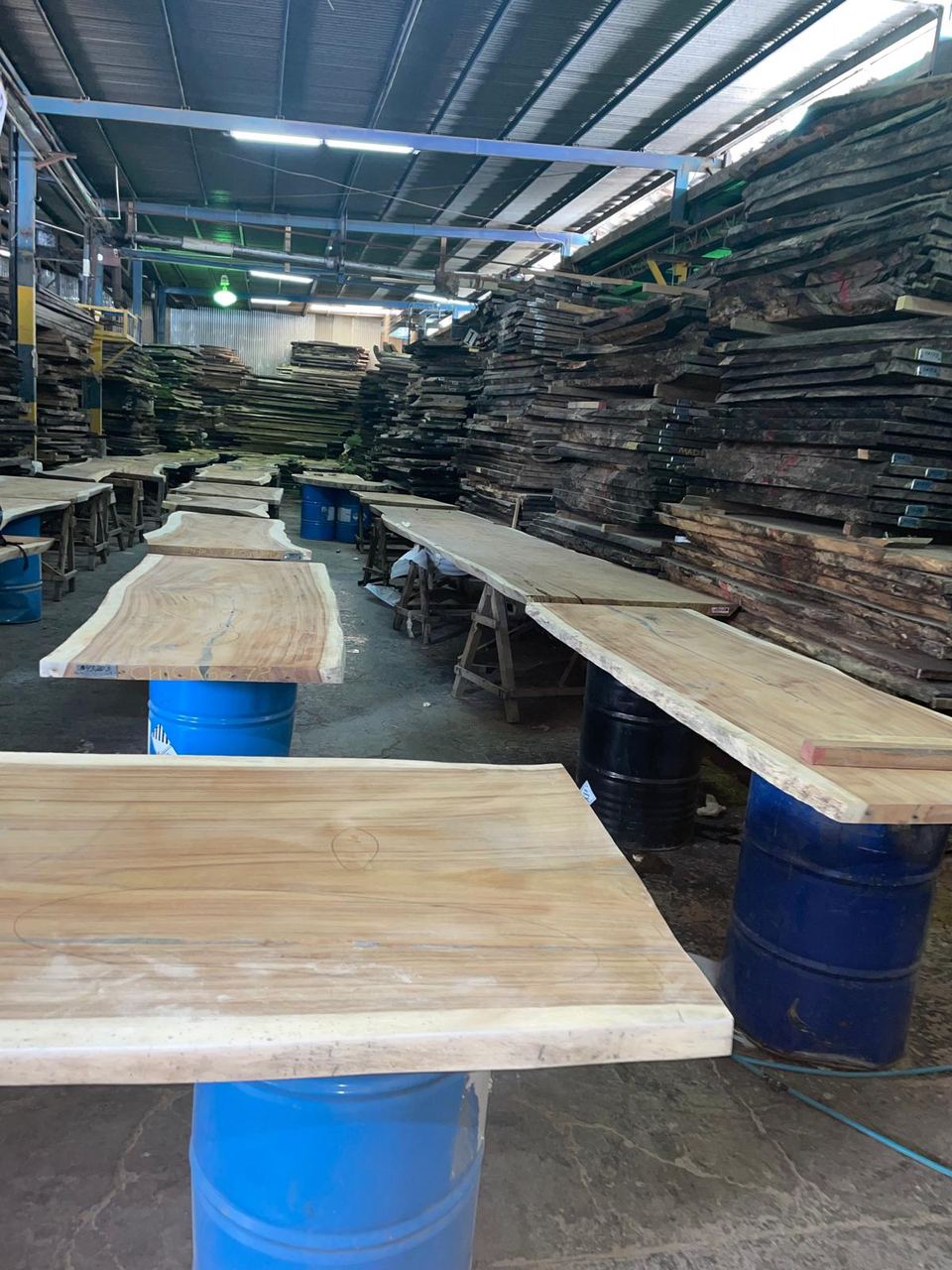 Plantation timber, live-edge slabs at the mill